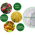 Quality Assured Wholesale Agrochemical Paclobutrazol 95%TC, 25%WP, 25%SC, Paclobutrazol 15% WP